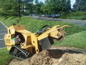 Stump Grinding Arbor Management