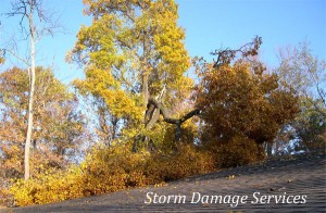 Storm Damage